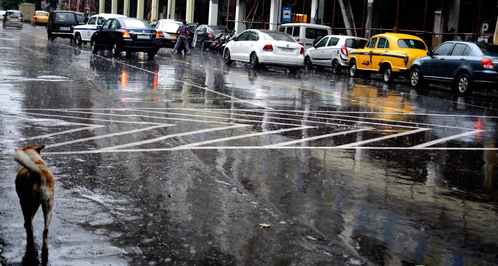 Rainy Street