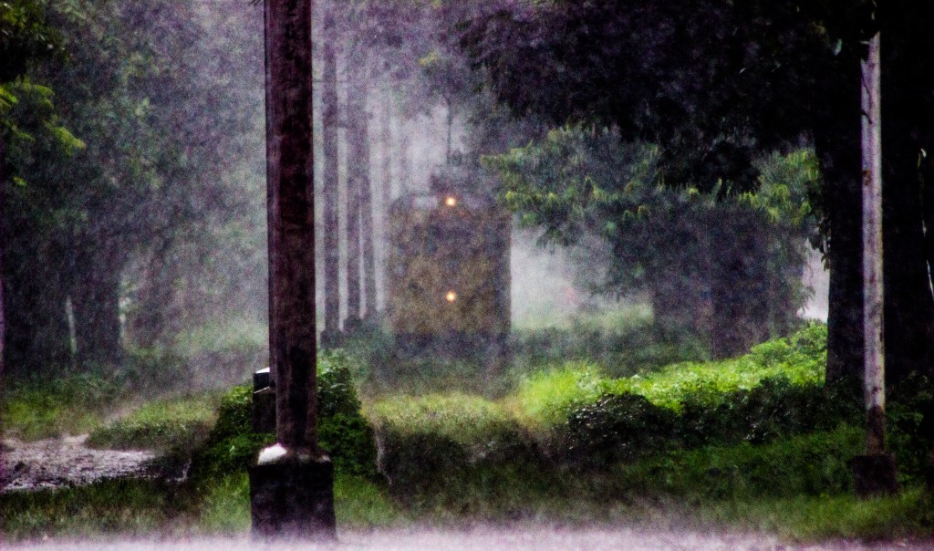 Rainy Tramride